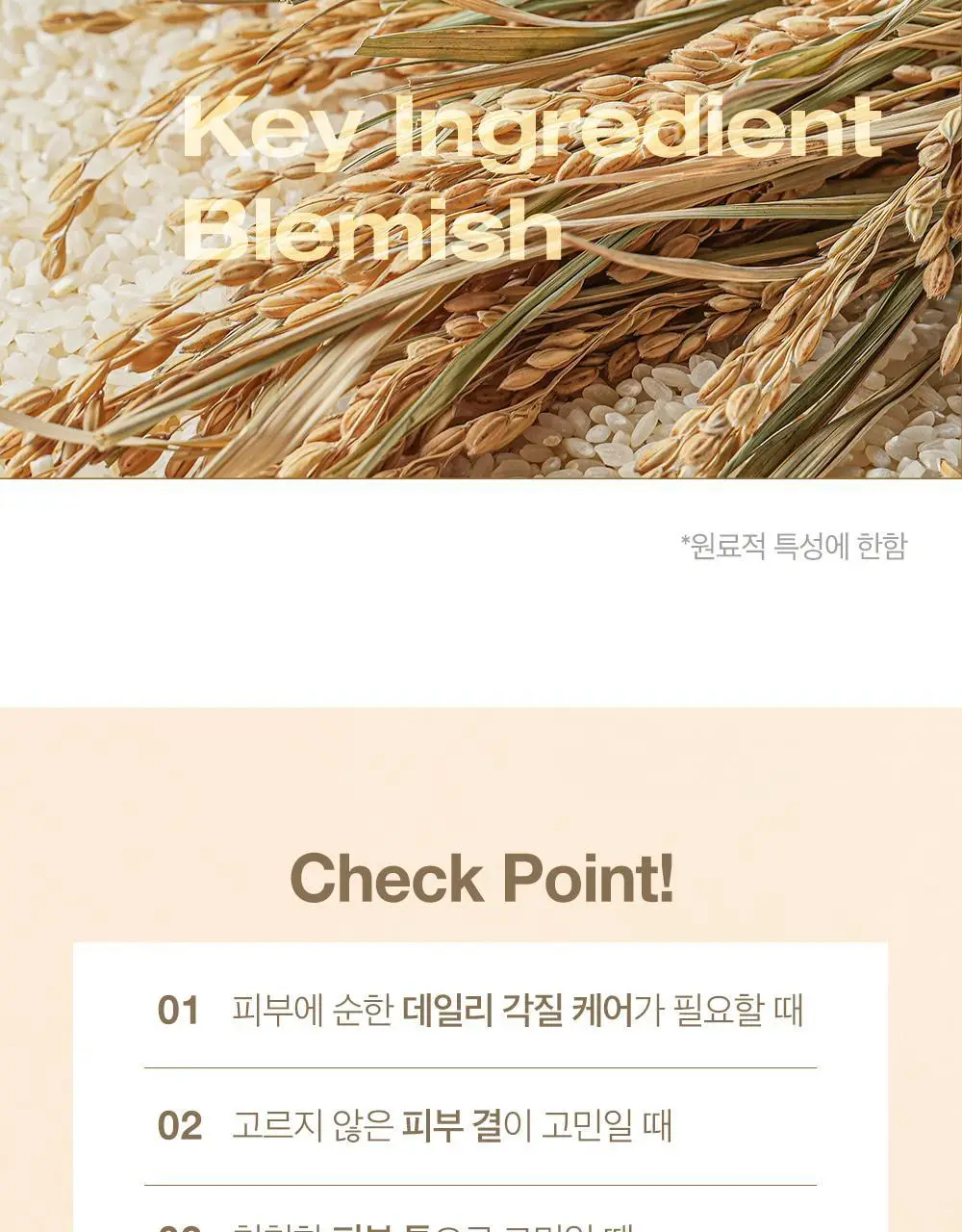 [올영단독] 파파레서피 블레미쉬 효소파우더 클렌저 130g 대용량기획 (+팩붓+오일/크림 3ml*3) 상세페이지 9